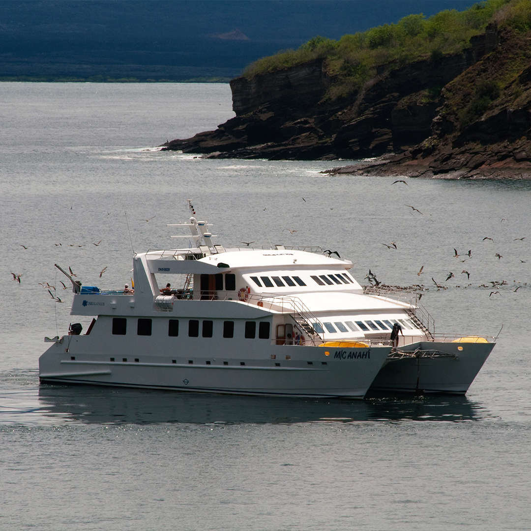 <br />
<b>Notice</b>:  Undefined variable: vessel_title in <b>/home/vayaques/public_html/wp-content/themes/vaya-3.0-child/page-destination-charters.php</b> on line <b>92</b><br />
