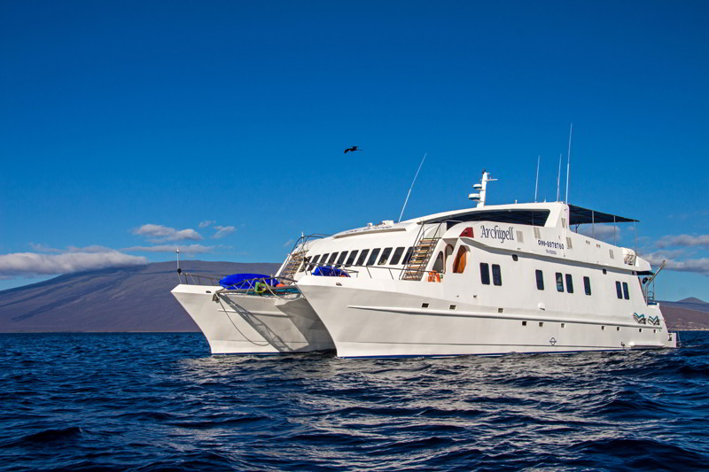 <br />
<b>Notice</b>:  Undefined variable: vessel_title in <b>/home/vayaques/public_html/wp-content/themes/vaya-3.0-child/page-destination-cruises-v2.php</b> on line <b>100</b><br />
