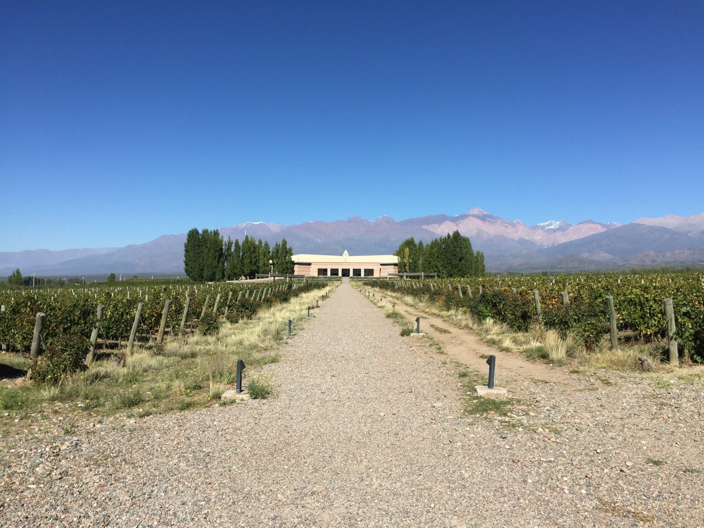 A Taste of Argentina & Uruguay