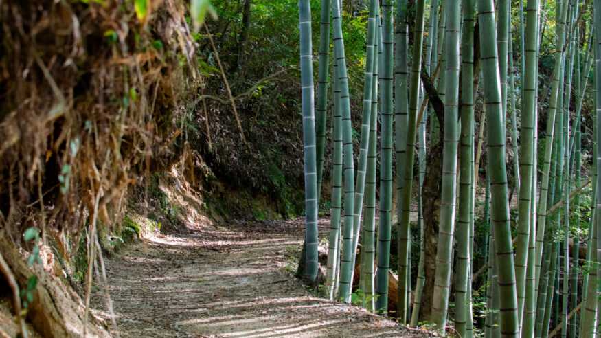 Nakasendo Trail