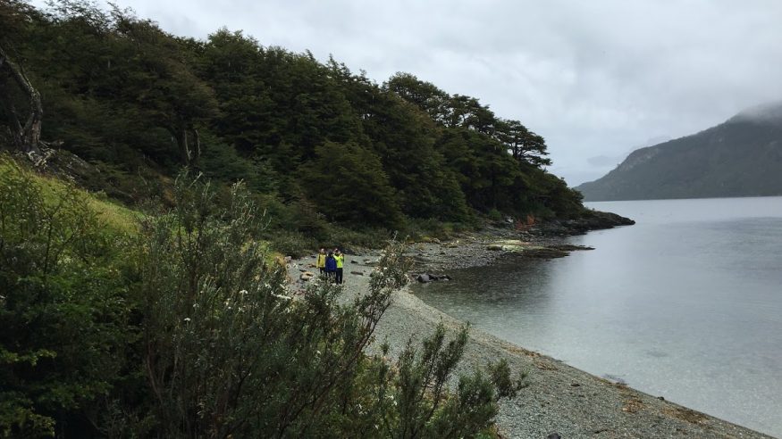 Tierra del Fuego National Park - Coastal Trail
