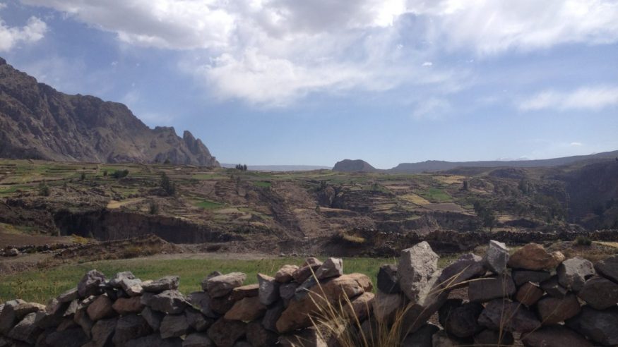 Colca Canyon