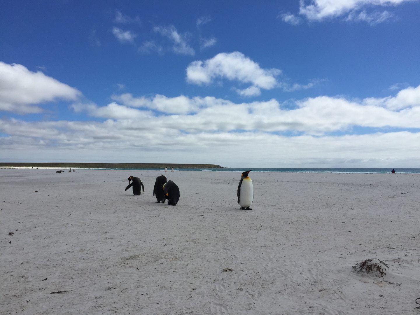 Falkland Islands Extension