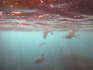 IMG_7361