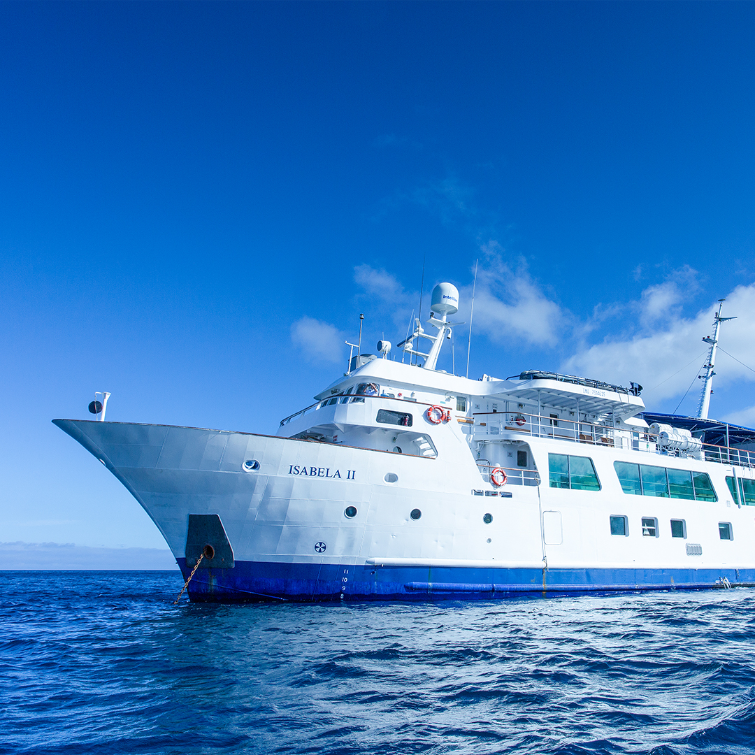 <br />
<b>Notice</b>:  Undefined variable: vessel_title in <b>/home/vayaques/public_html/wp-content/themes/vaya-3.0-child/page-destination-cruises-v2.php</b> on line <b>100</b><br />

