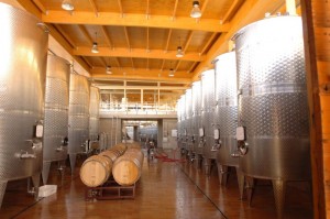 Matetic Winery