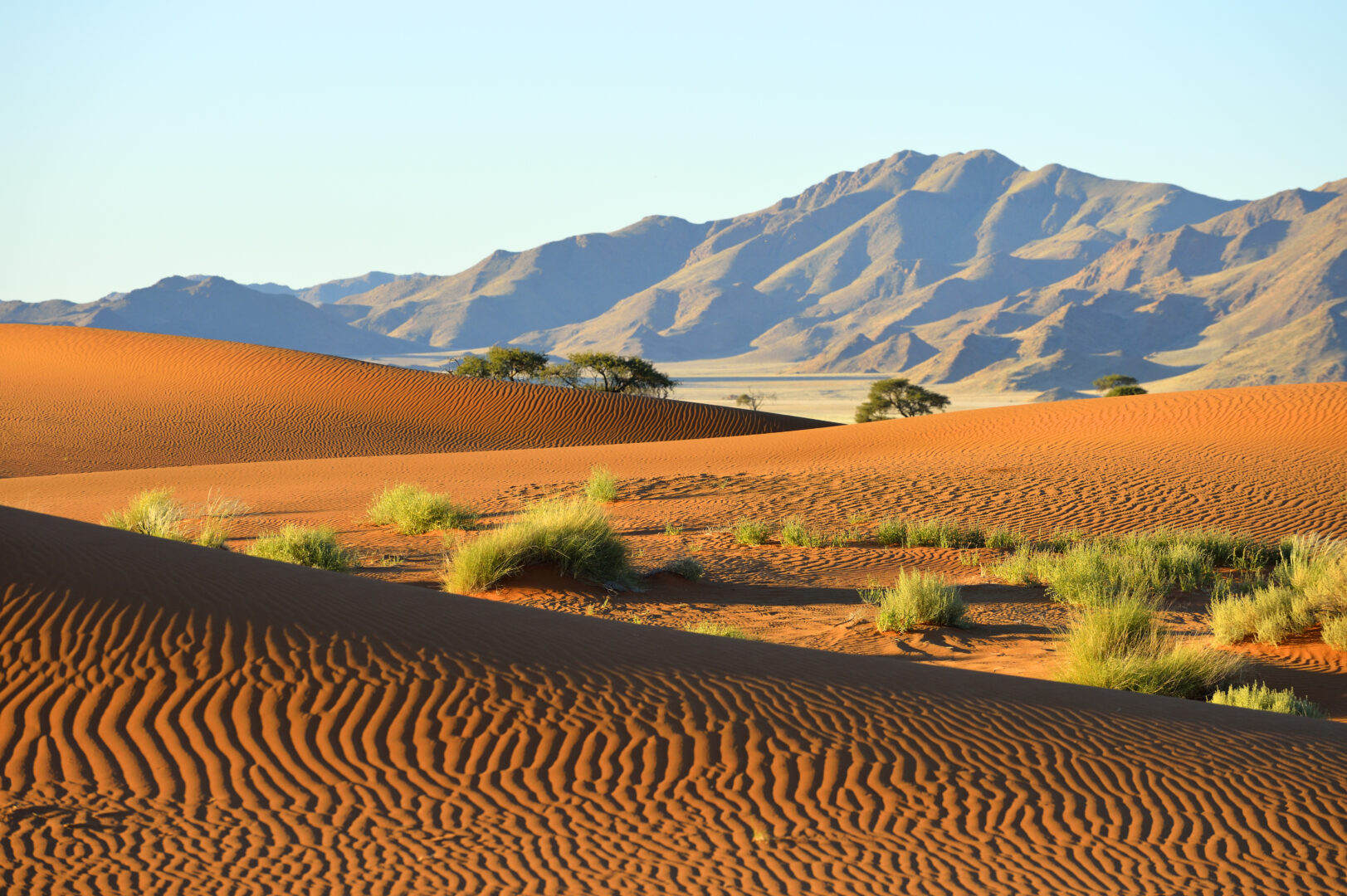 Ultimate Namibia