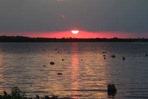 Pantanal, Brazil