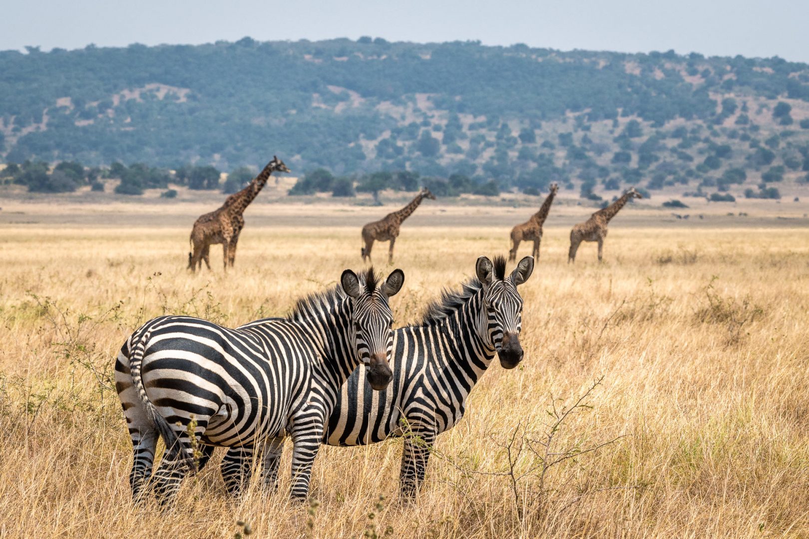 Rwanda in Depth