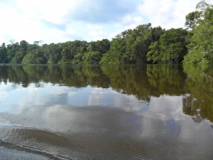 SAM_0391