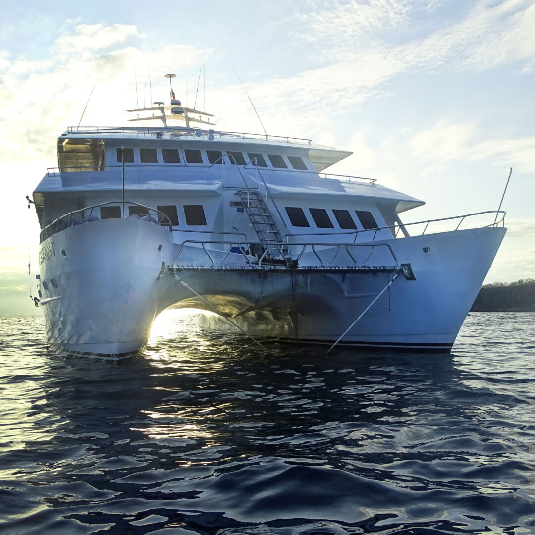 <br />
<b>Notice</b>:  Undefined variable: vessel_title in <b>/home/vayaques/public_html/wp-content/themes/vaya-3.0-child/page-destination-charters.php</b> on line <b>92</b><br />
