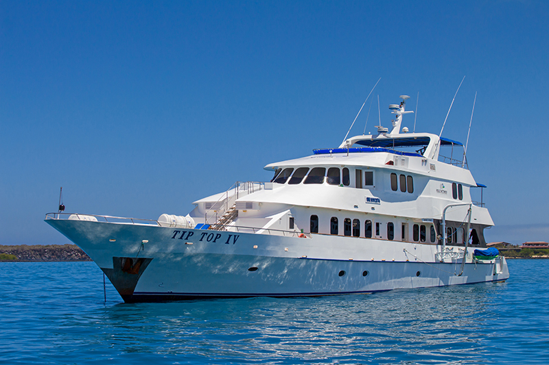 <br />
<b>Notice</b>:  Undefined variable: vessel_title in <b>/home/vayaques/public_html/wp-content/themes/vaya-3.0-child/page-destination-charters.php</b> on line <b>92</b><br />

