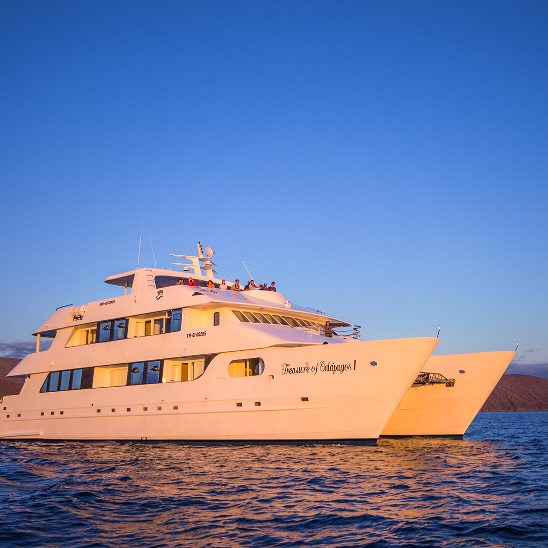 <br />
<b>Notice</b>:  Undefined variable: vessel_title in <b>/home/vayaques/public_html/wp-content/themes/vaya-3.0-child/page-destination-charters.php</b> on line <b>92</b><br />
