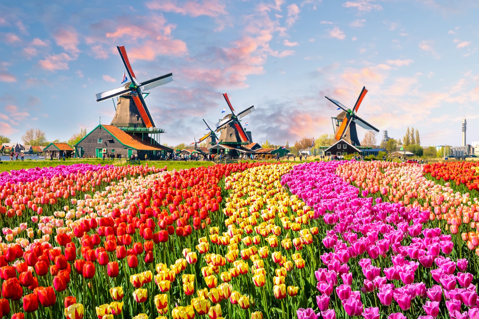 <br />
<b>Notice</b>:  Undefined variable: itinerary_title in <b>/home/vayaques/public_html/wp-content/themes/vaya-3.0-child/page-accommodation.php</b> on line <b>125</b><br />
