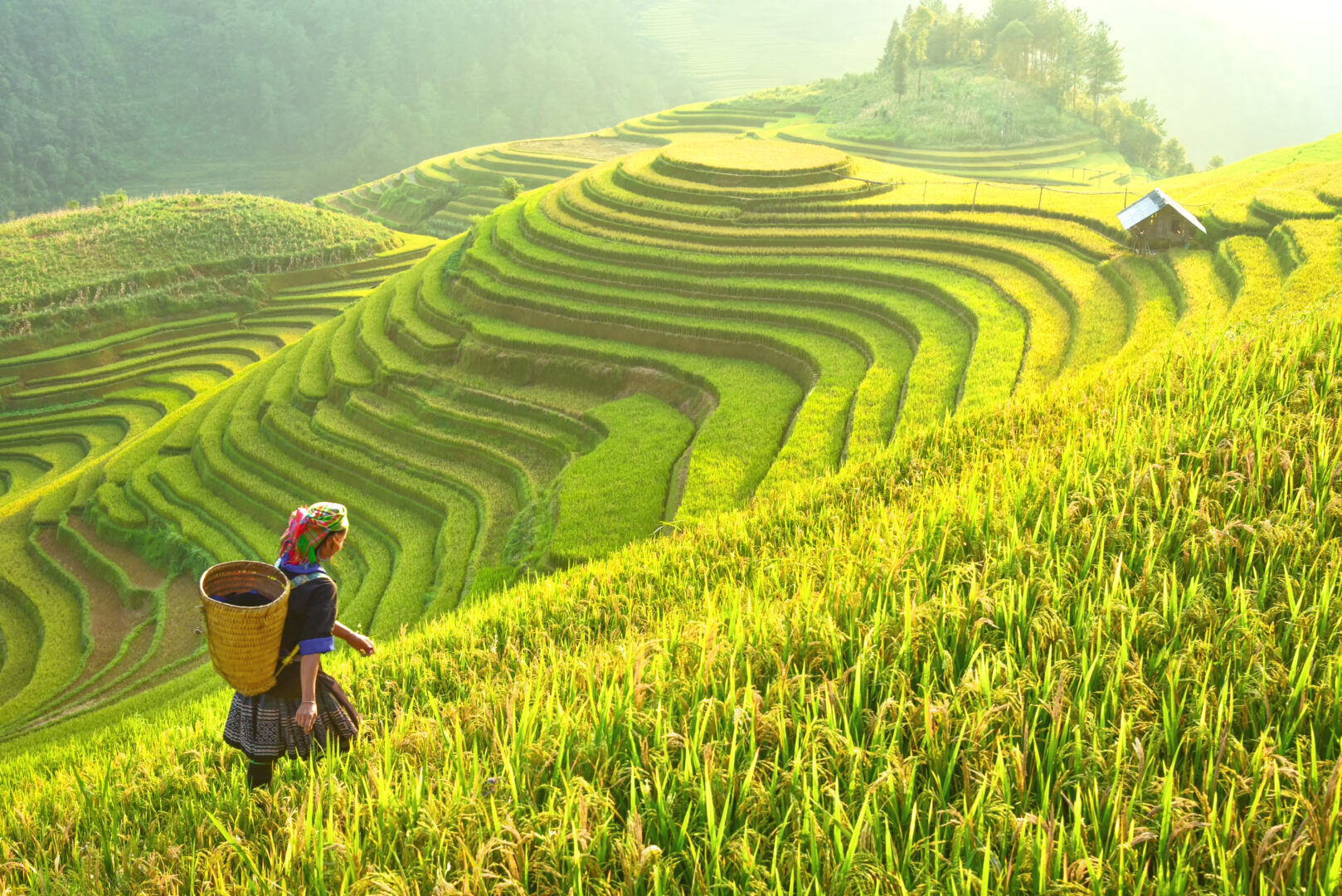 Vietnam: Saigon to Sapa