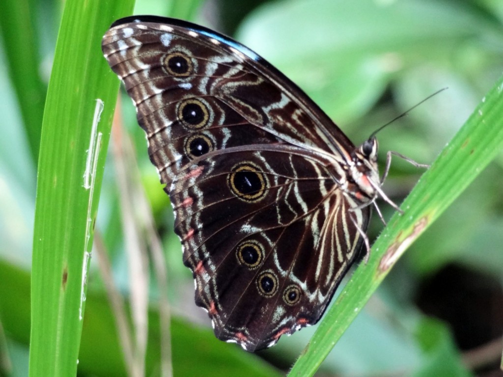 image014